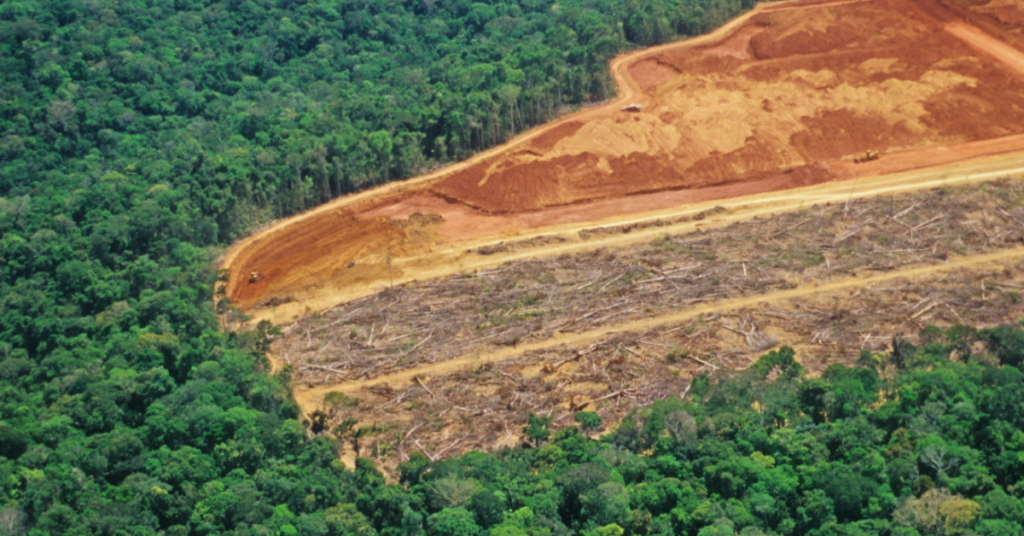 Aerial shot of deforestation.