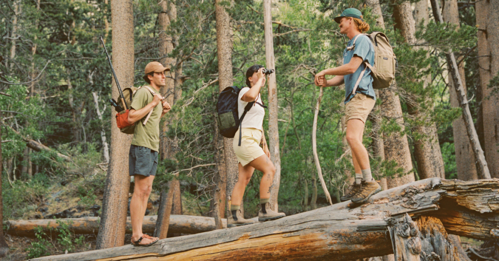 Three people in Zorali wear climbing on a fallen tree trunk.