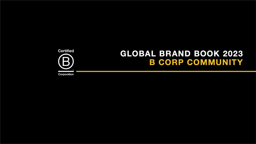 For New B Corps | B Lab Australia & New Zealand