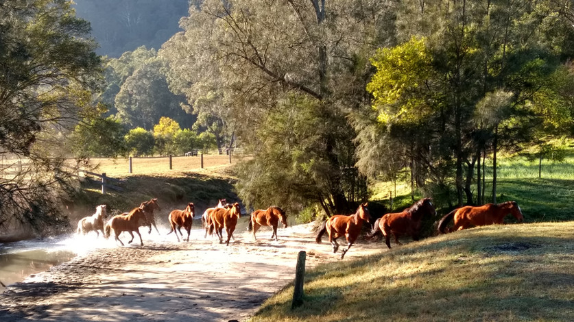 Assembly 2025 A B Corp Community Gathering